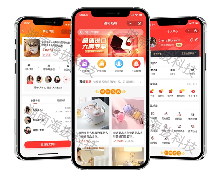 1290-拼团分销商城小程序-胜利商城.jpg