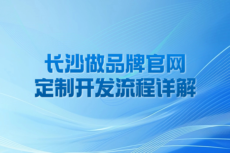 长沙做品牌官网定制开发流程详解.jpg