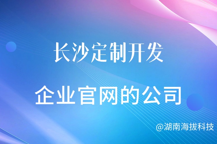长沙定制开发企业官网的公司.jpg
