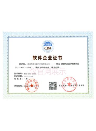 软件企业